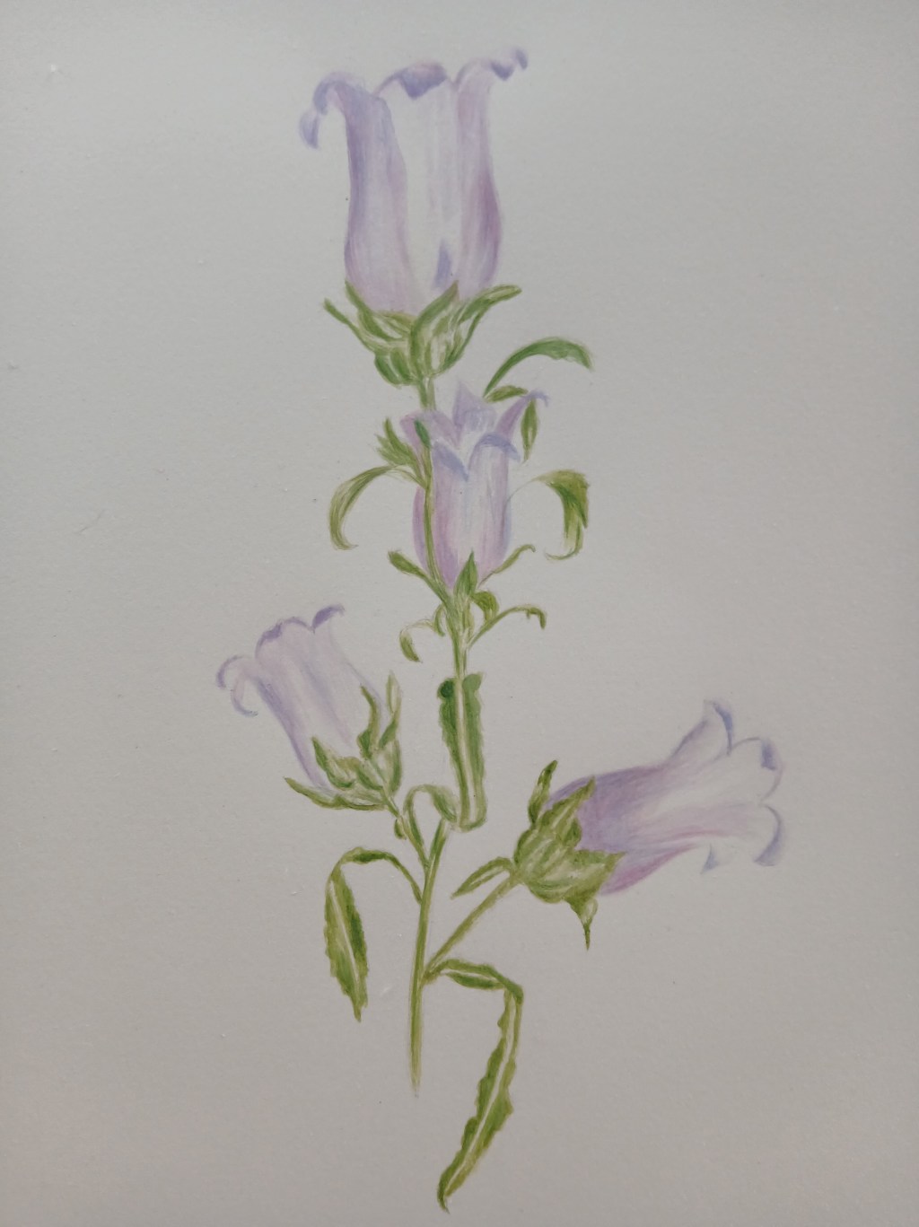 La pratique de l’aquarelle